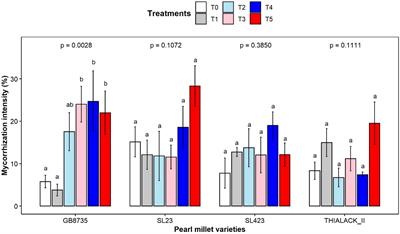 Contribution of arbuscular mycorrhizal fungi to the bioavailability of micronutrients (iron and zinc) in millet accessions